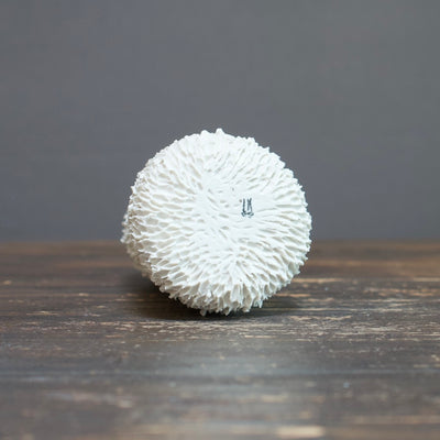 White Sea Urchin Flower Vase #LK727