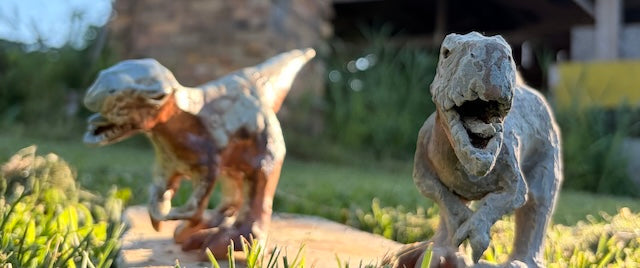 Shumpei Yamaki's Wood-Fired Dinosaurs 2026