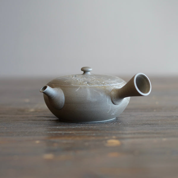 Hiroyuki Mizuno - Sara Japanese Pottery