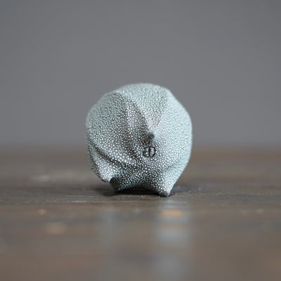 SORIN GUINOMI Sake Cup #NMS80B