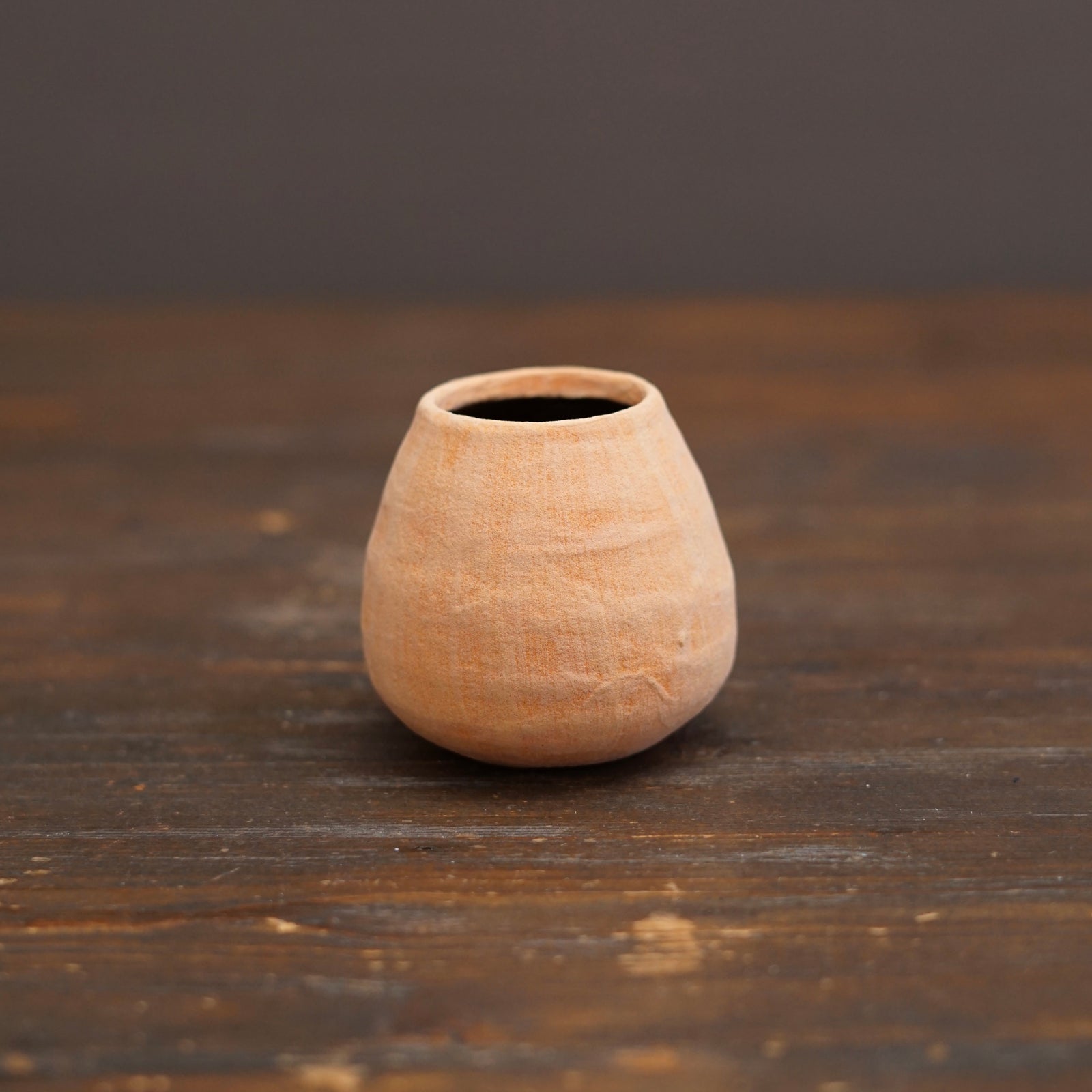 Necco / Chocolote Mini DIno Vase #JT446C