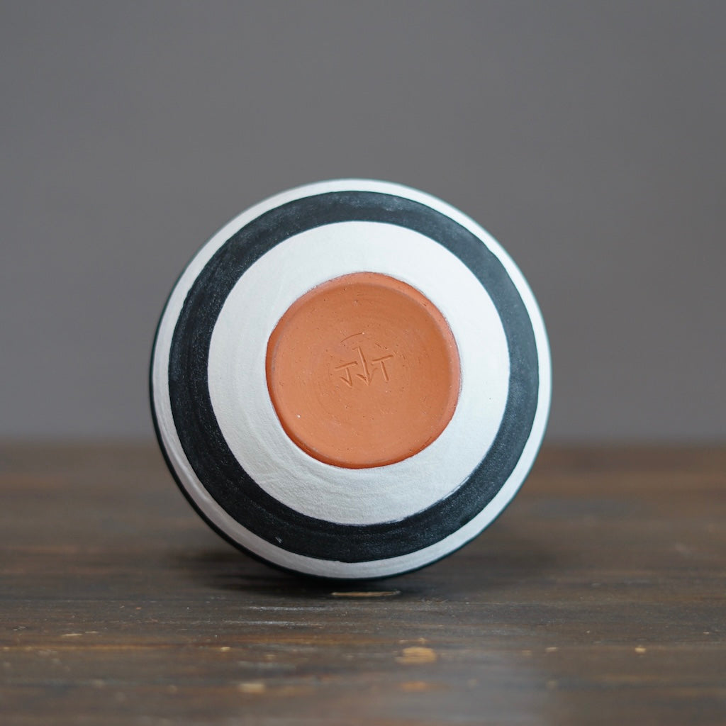 Striped / Orange Dino Vase #JT413C