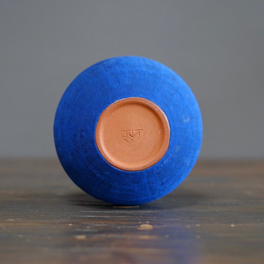 Blue / Yellow Dino Vase #JT413E