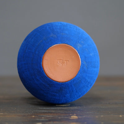 Blue / Red Dino Vase #JT413F