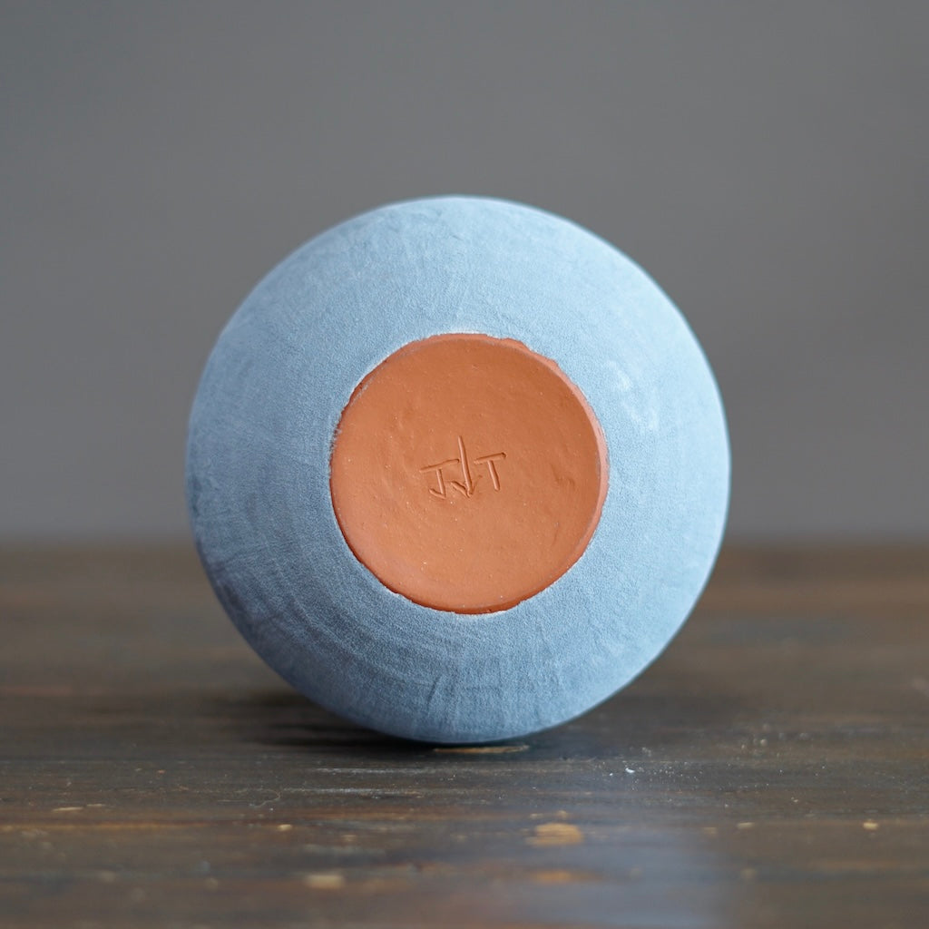 Light Blue / Red Dino Vase #JT413G