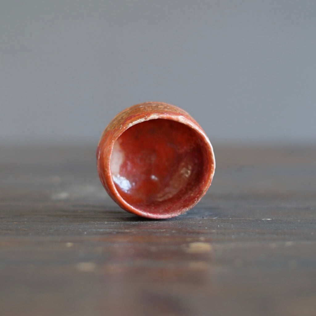 GUINOMI Sake Cup #REN21