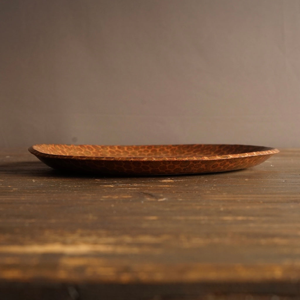 Brown Dots Dinner Plate #LK927C