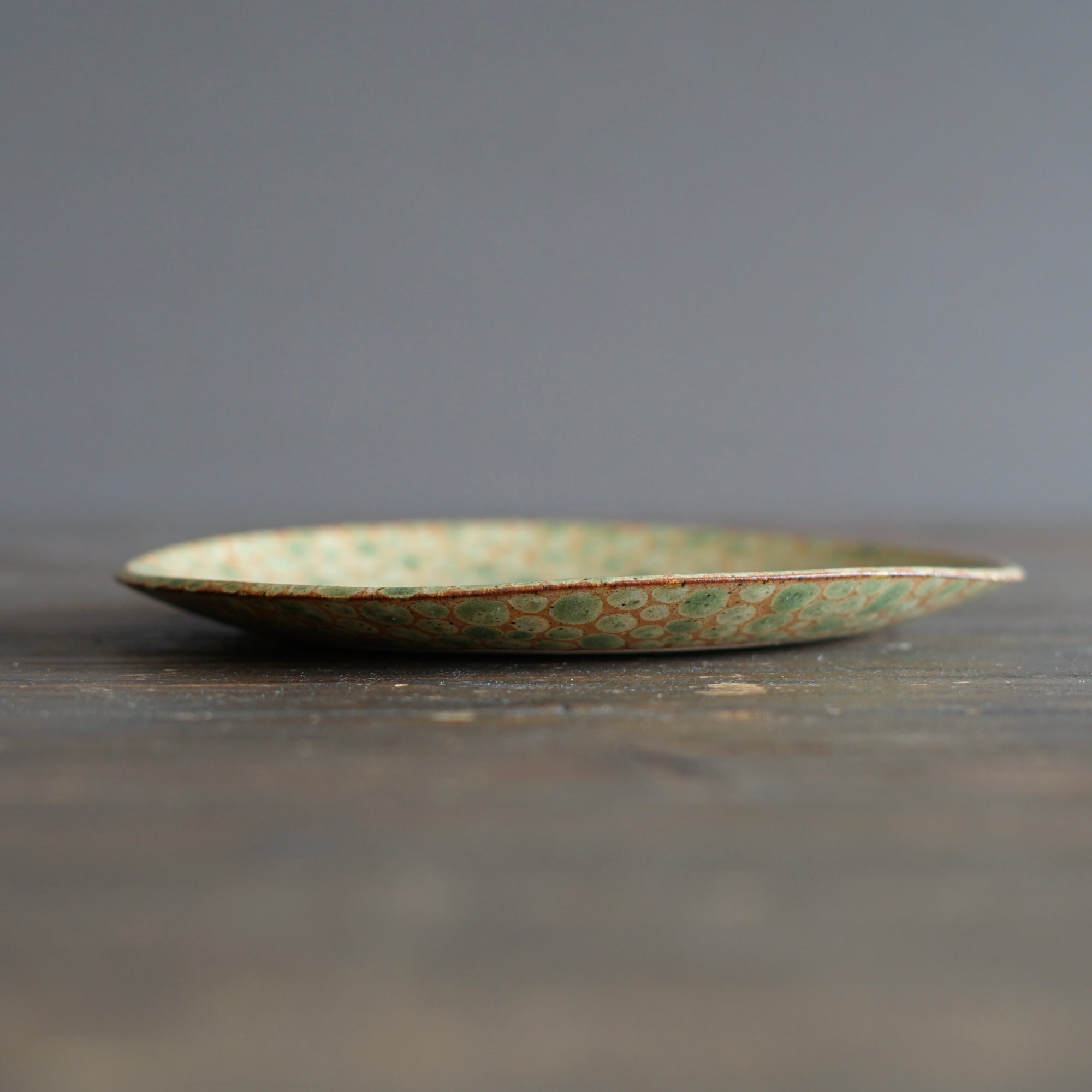 Green / Brown Dots Medium Plate #LK878C