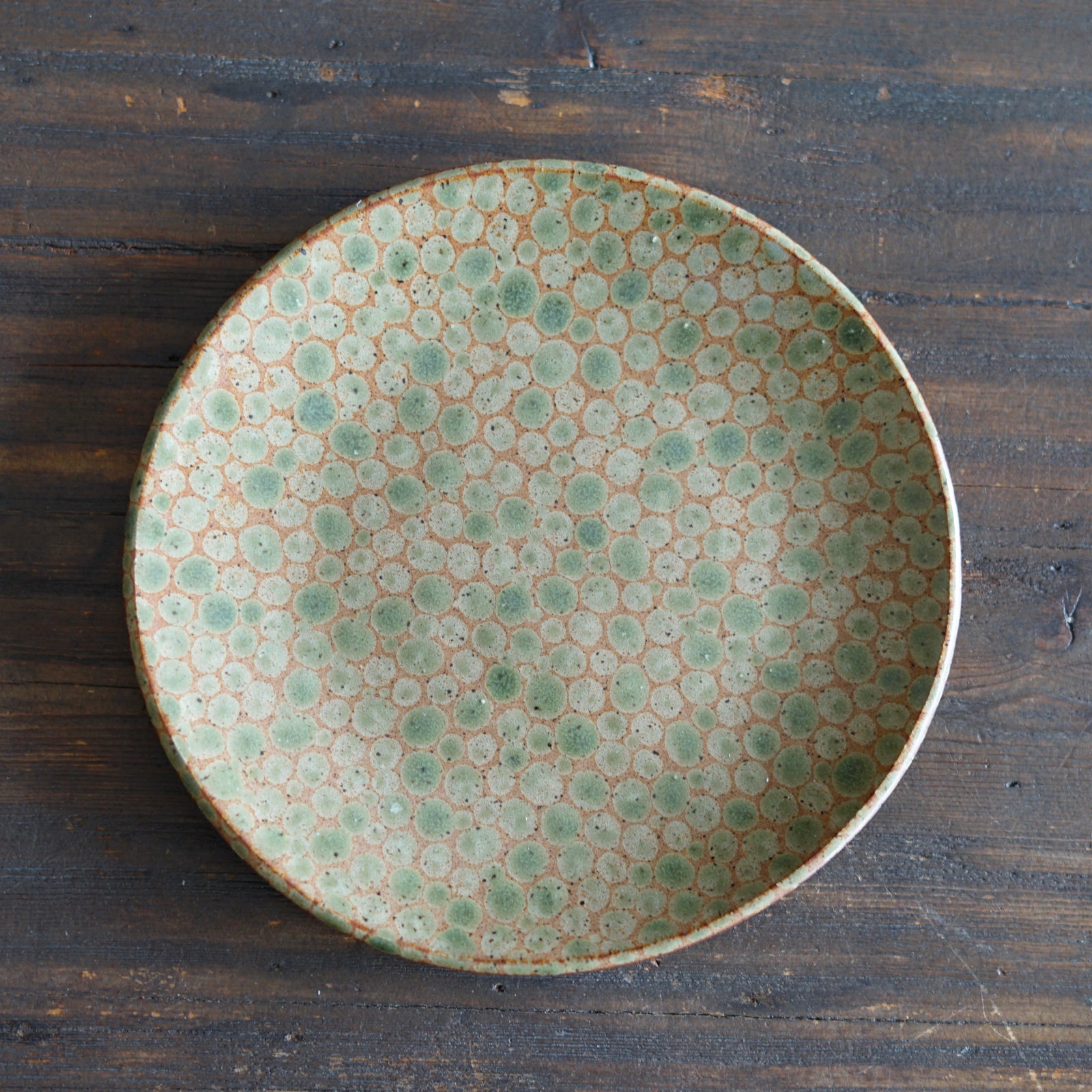 Green / Brown Dots Medium Plate #LK878C