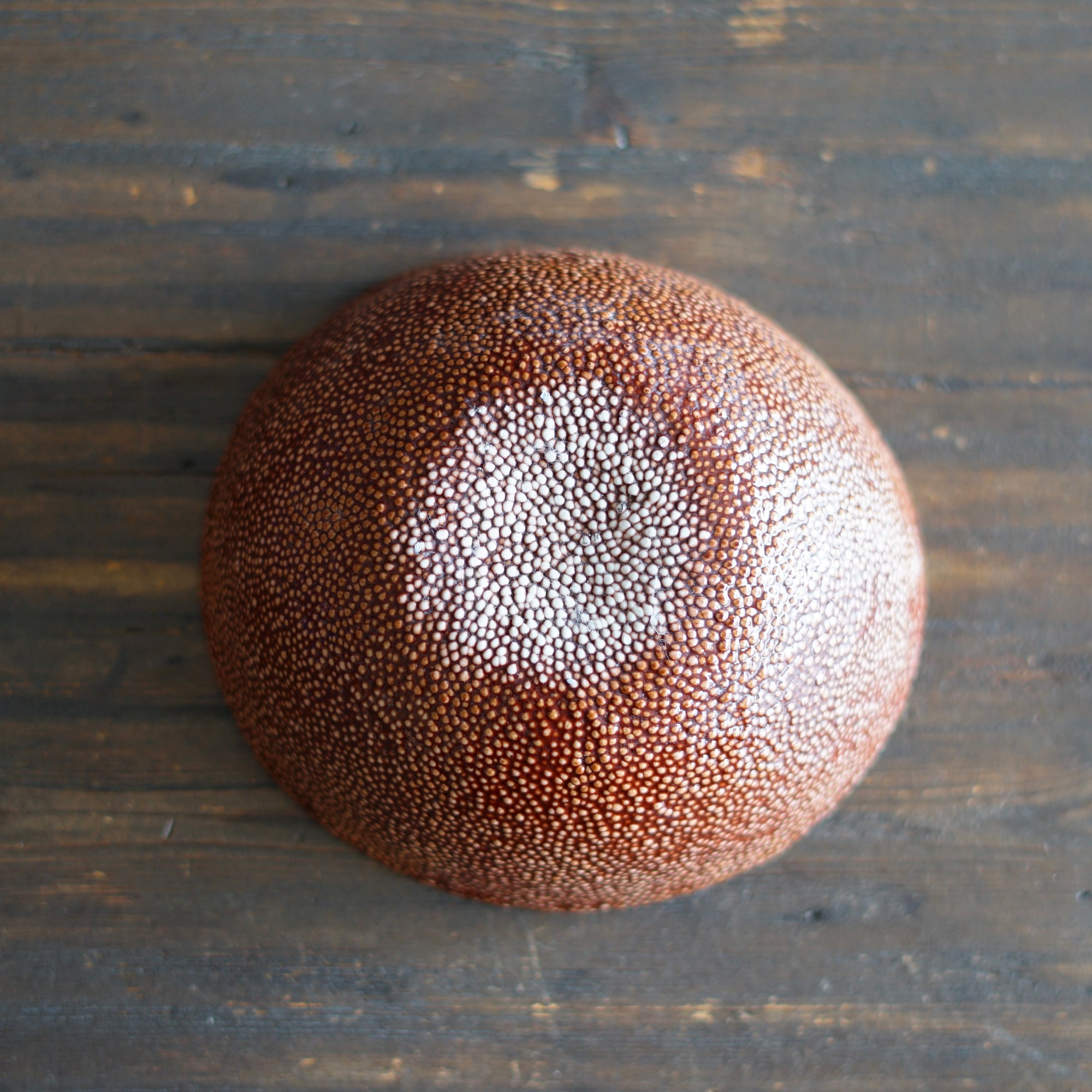 Brown Caviar Bowl #LK868C