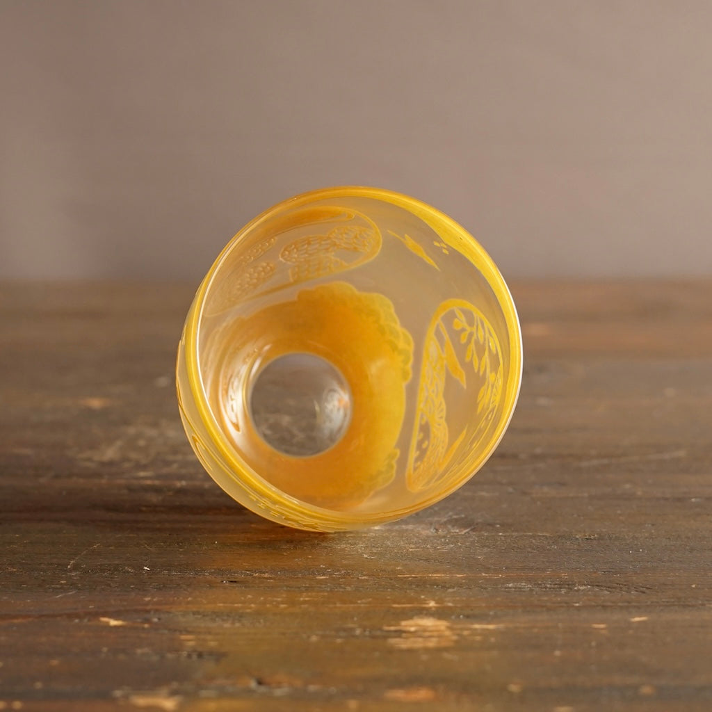 'Glass Scenery' Tumbler #UR12