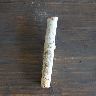 Hanging Flower Vase #FQ730B