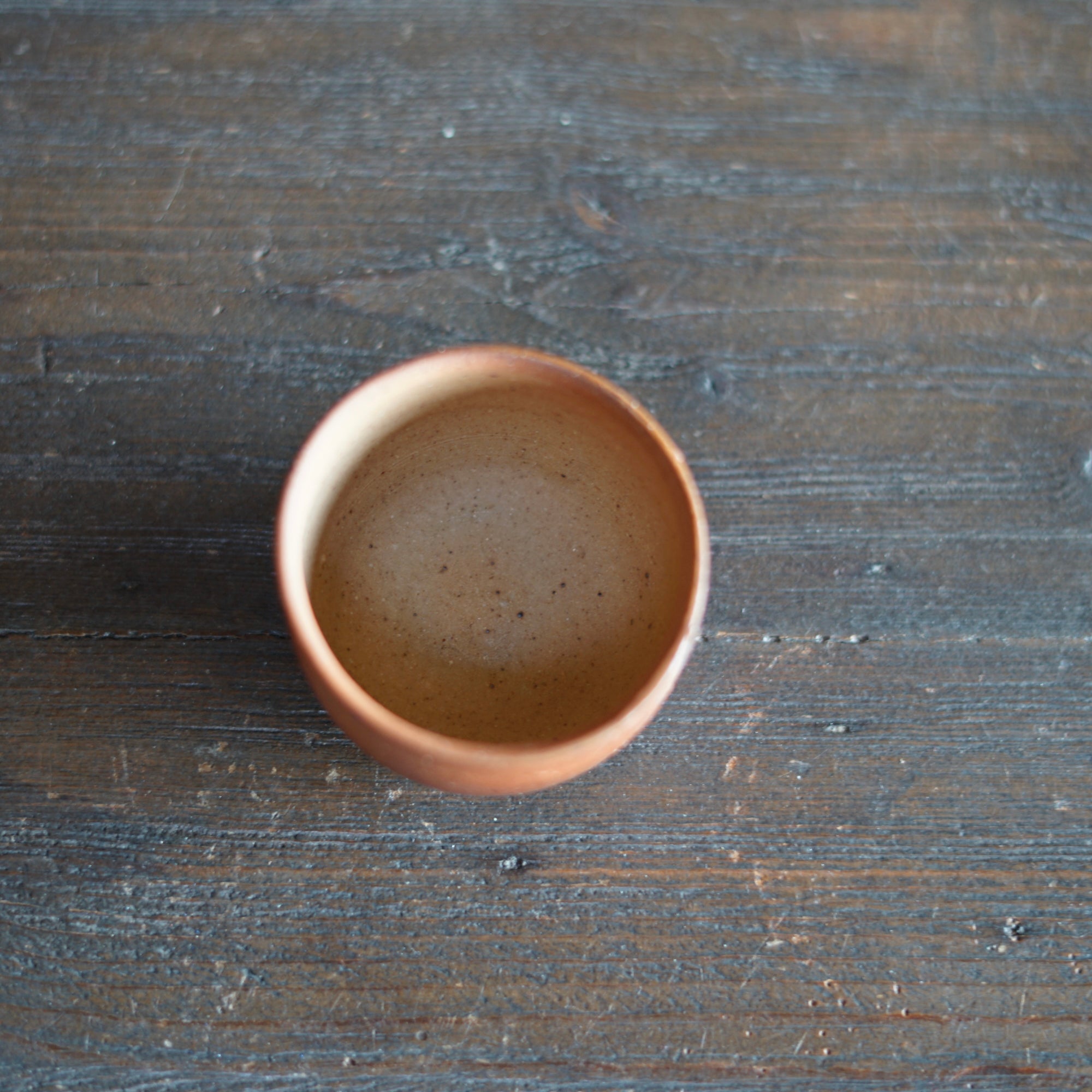 GUINOMI Sake Cup #SY856