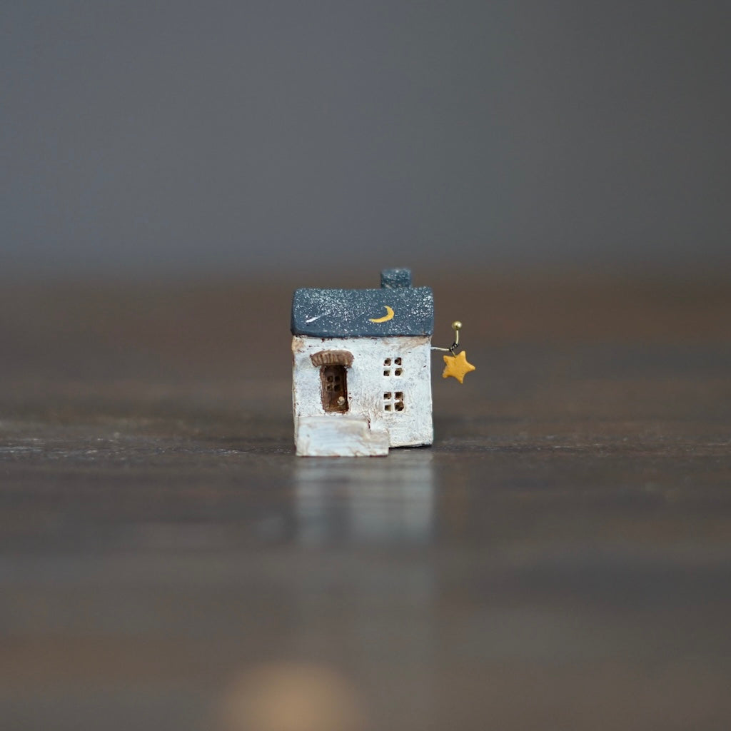 Chibi Stargazer's House #CS12