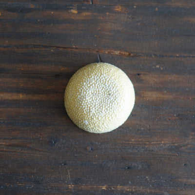 Small Yellow Caviar Dish #LK864B