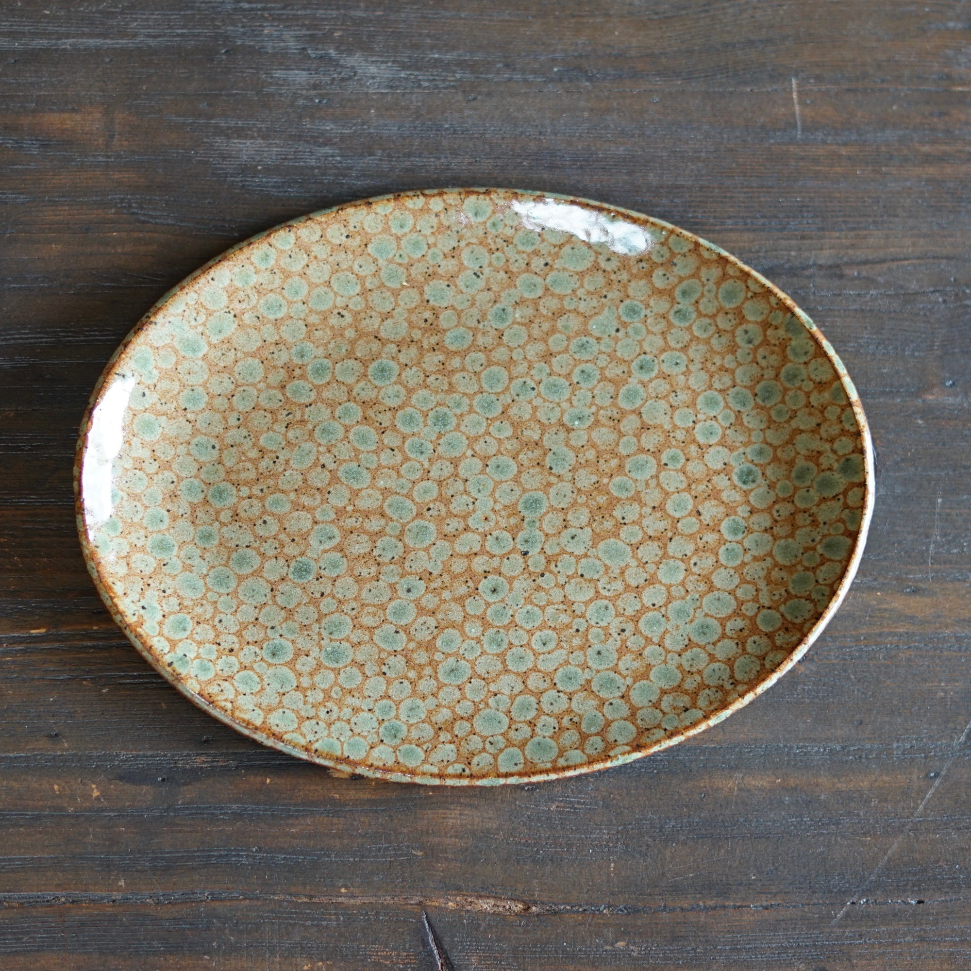 Brown Dots Oval Serving Plate #LK828A
