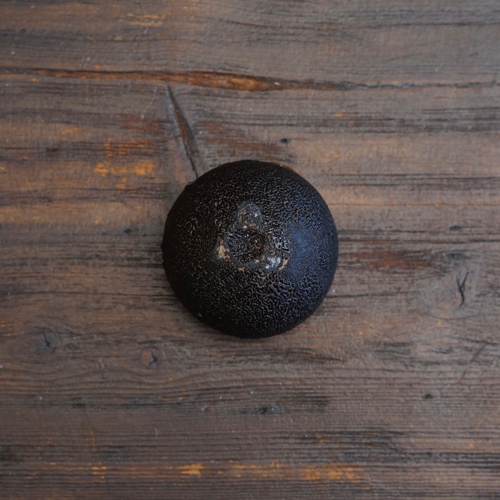 Gilded Round GUINIMI Sake Cup ##HT81