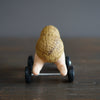 Peanut Mascot Four Wheeler #OKA5B