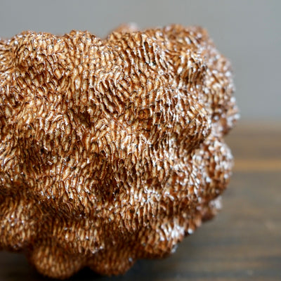 Brown Sea Urchin #LK785