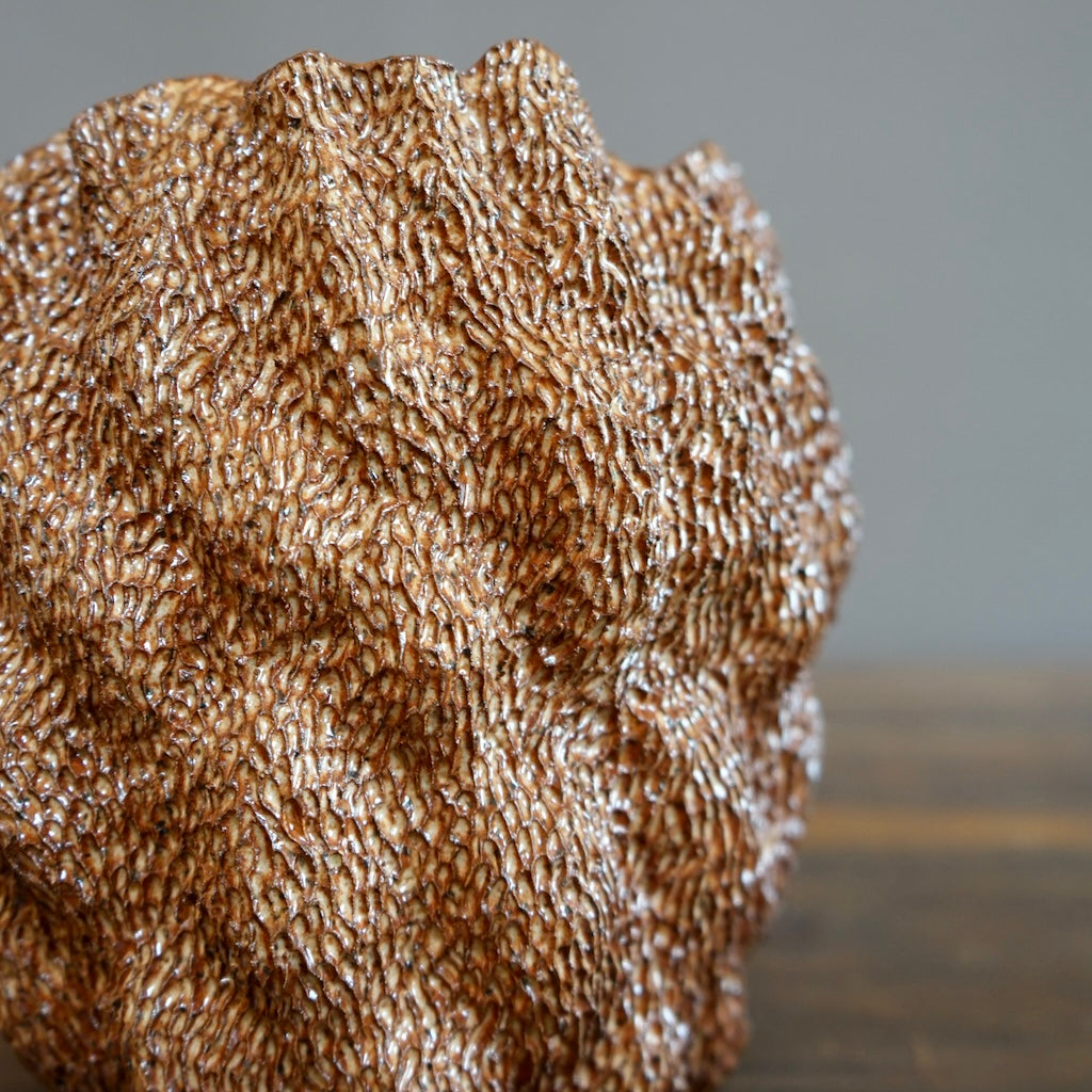 Brown Sea Urchin #LK783