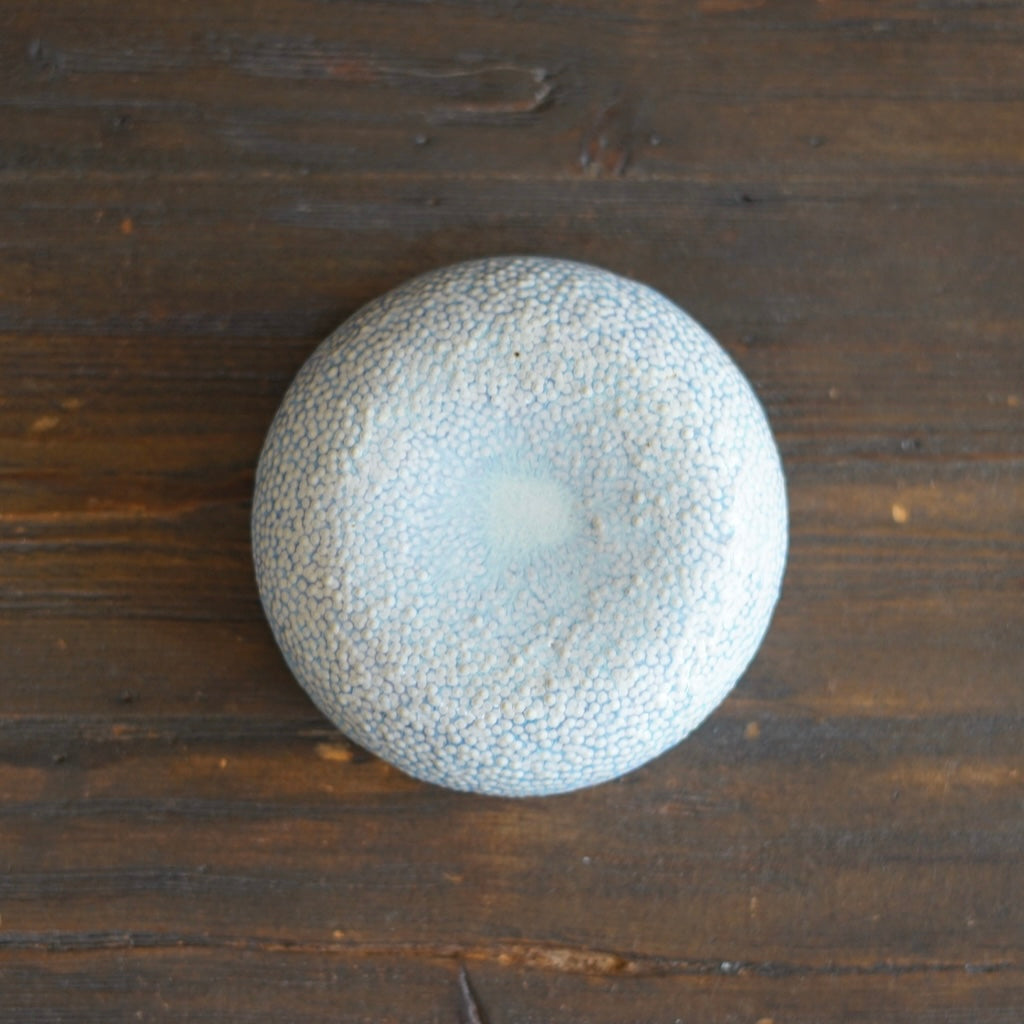 Cream Star Small Puff / Wall Sculpture #LK852