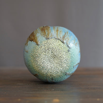Blue Beach Caviar Vessel #LK855