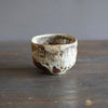Wood Fired Tea Bowl #FQ701