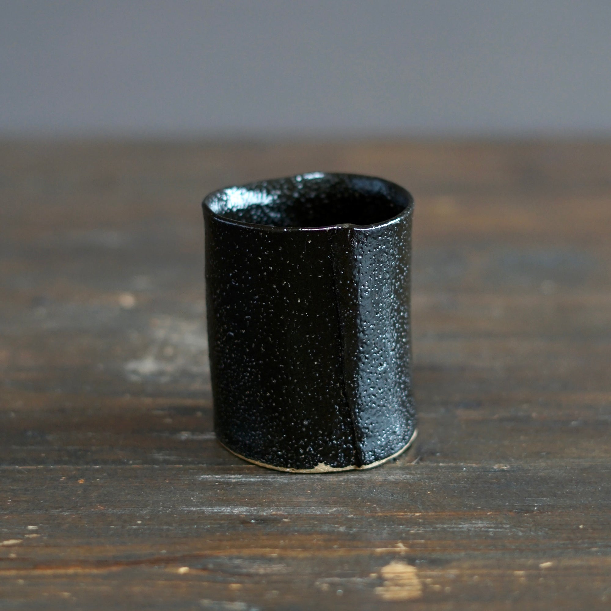 Gilded Earth YUNOMI Tea Cup #HT494A