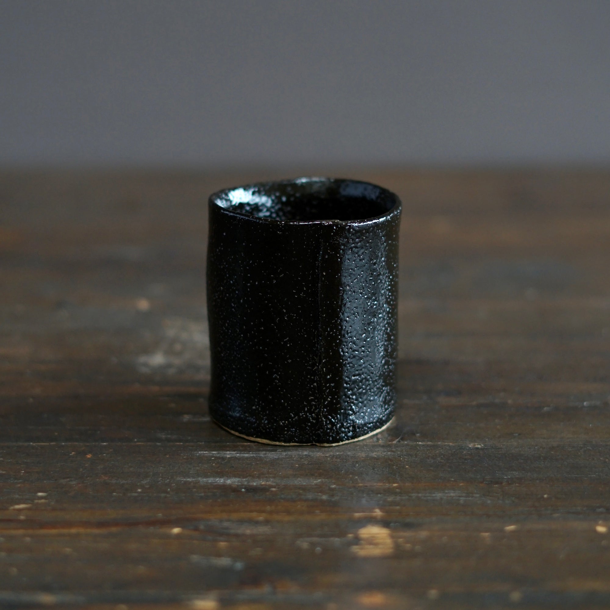 Gilded Earth YUNOMI Tea Cup #HT494E