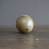 Seed Pod Bud Vase #KY184A