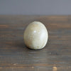 Seed Pod Bud Vase #KY184B