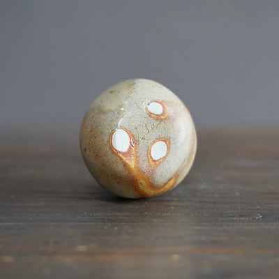 Seed Pod Bud Vase #KY184B