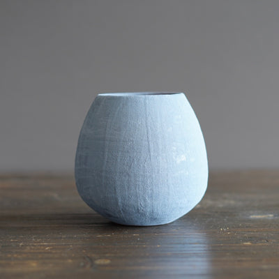 Robin's Egg / Red Dino Vase #JT429B