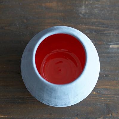 Robin's Egg / Red Dino Vase #JT429B