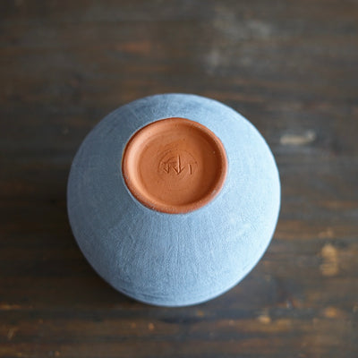 Robin's Egg / Red Dino Vase #JT429B