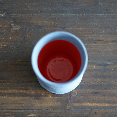 Robin's Egg / Red Column Flower Vase #JT433