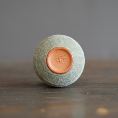 Pistachio / Orange Mini Dino Vase #JT398C