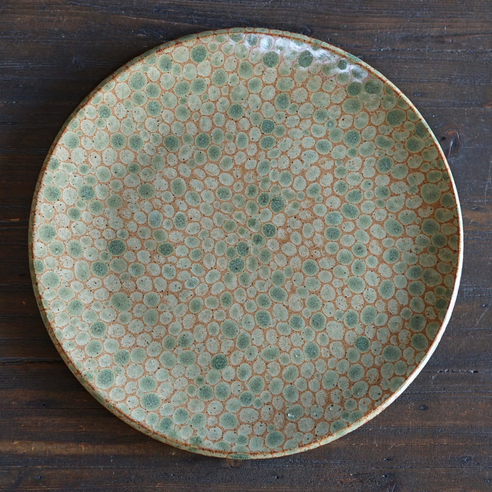 Green Dots Large Plate #LK892A