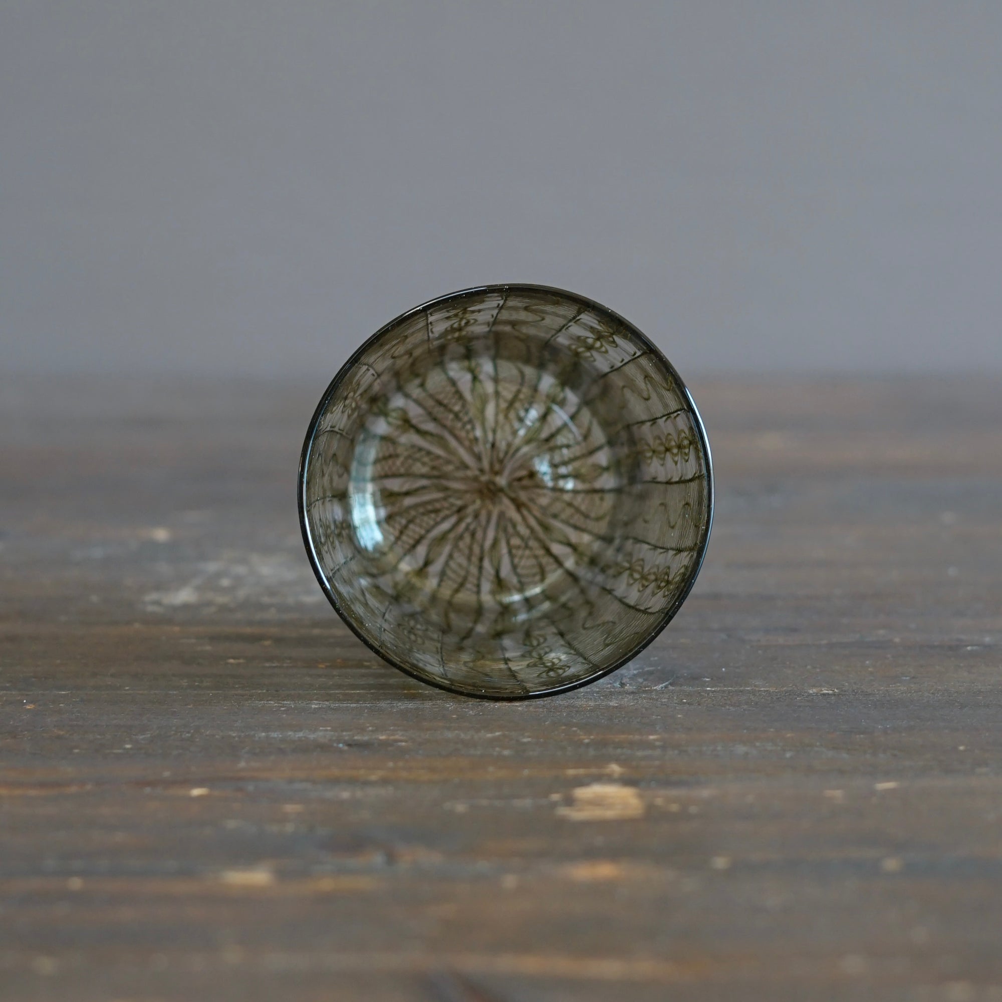 Godzilla Lace Tumbler #U11G