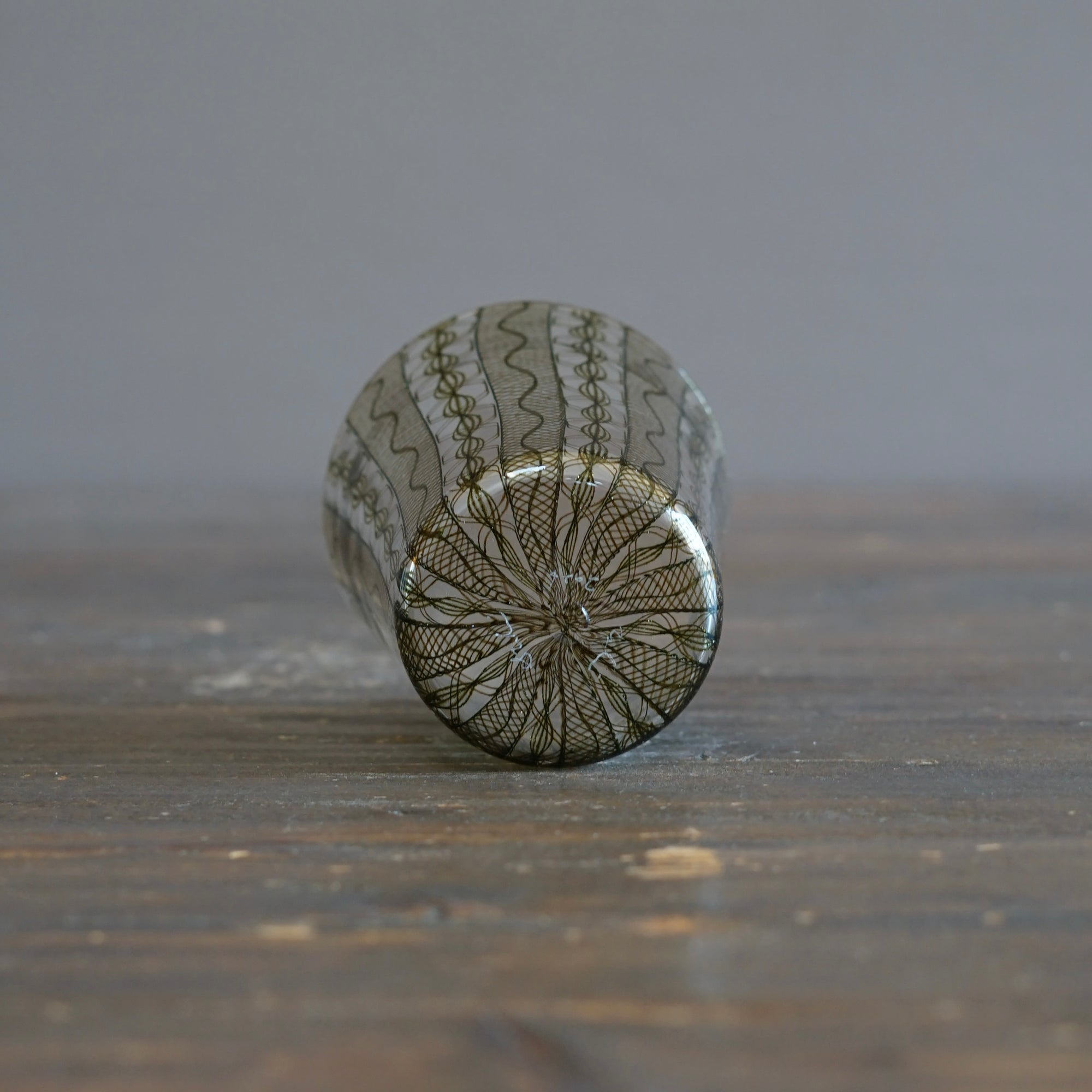 Godzilla Lace Tumbler #U11G