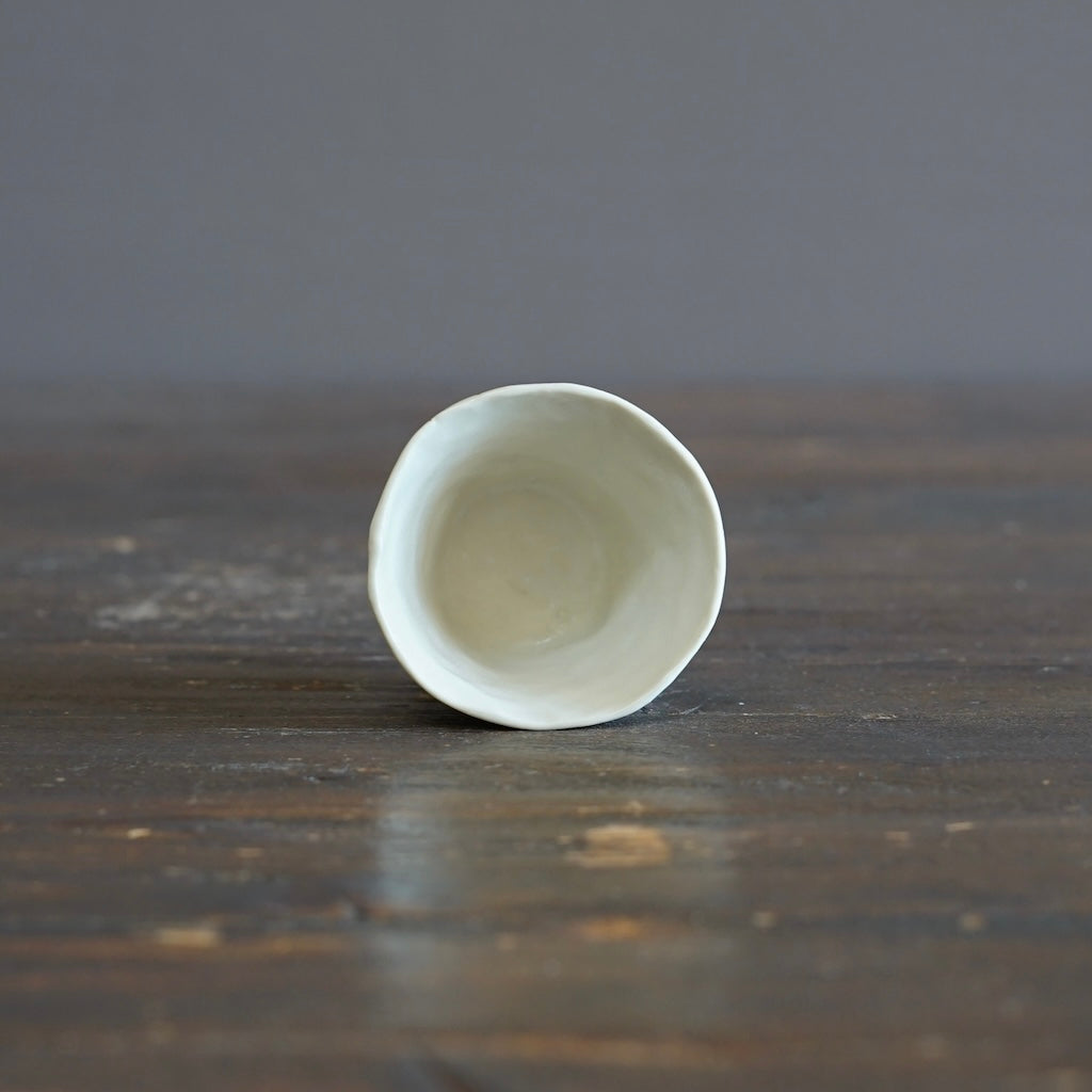 Fake T-Shirt Sake Cup #MK129
