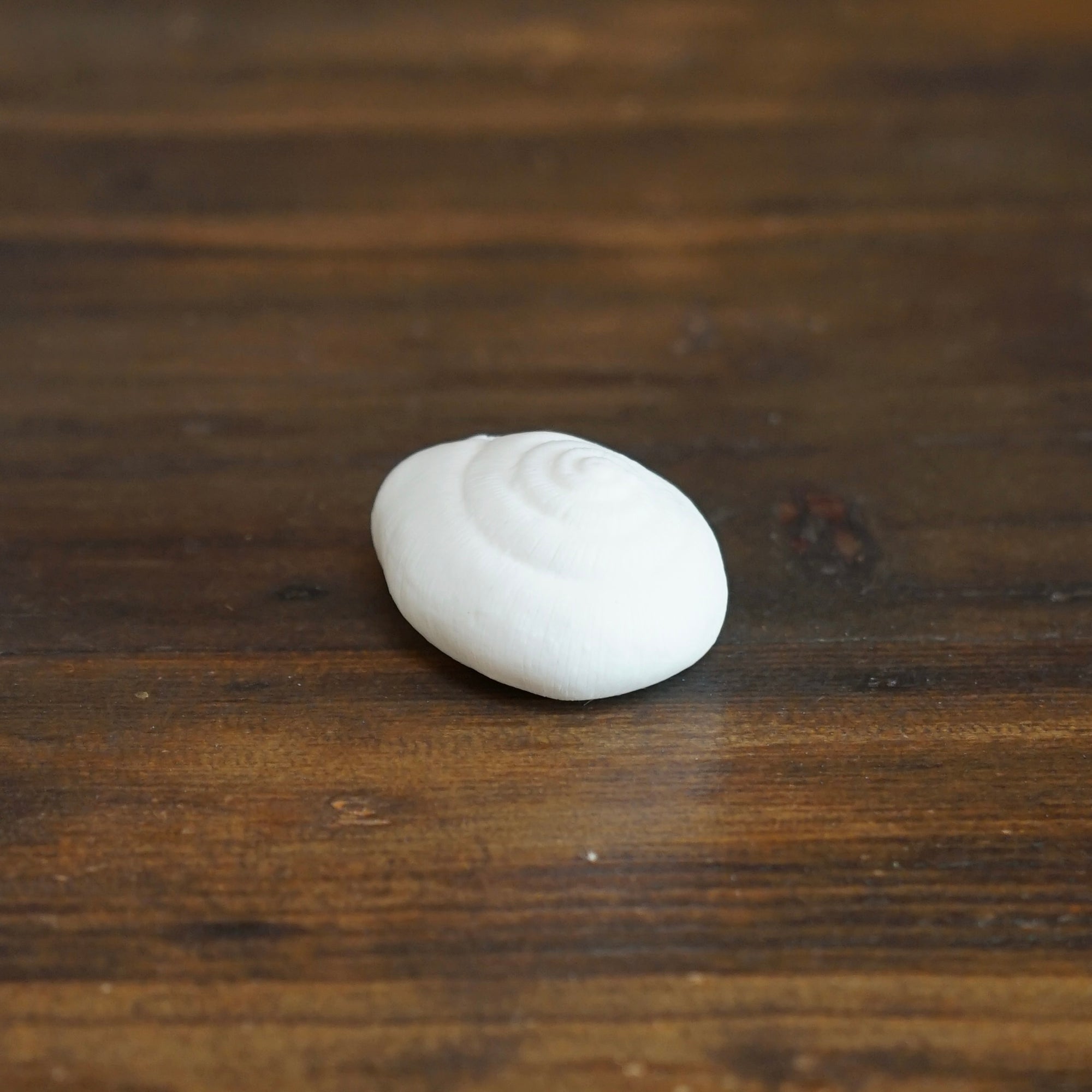 Porcelain Snail Shell #NK118A