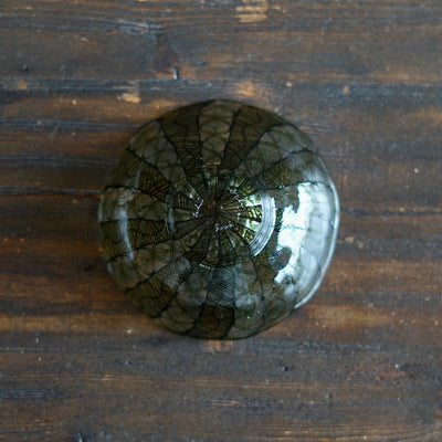 Godzilla Lace Shallow Bowl #U17B