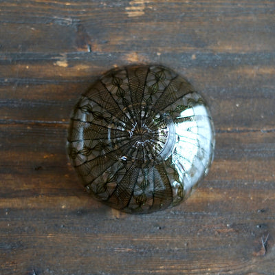 Godzilla Lace Shallow Bowl #U17C