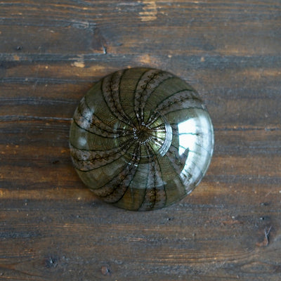 Godzilla Lace Shallow Bowl #U17D