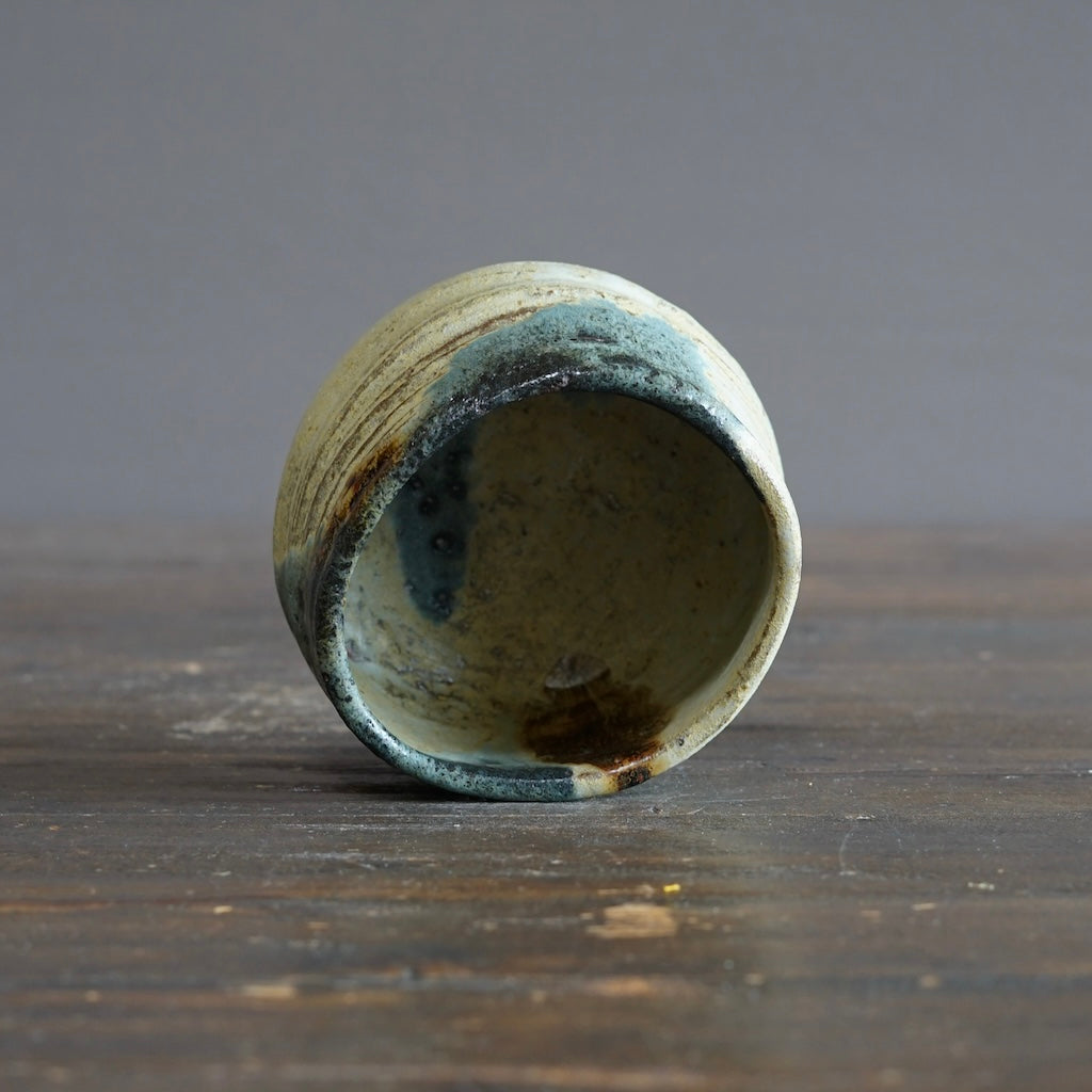 "Spring Shores" Tea Ceremony Bowl #REN25