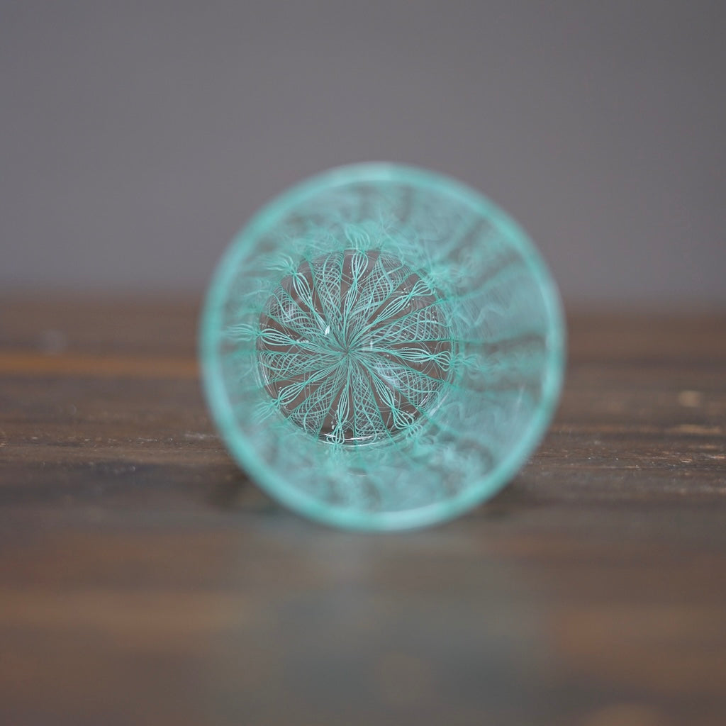 Pale Blue Green Race Glass Tumbler #U21i