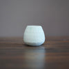 Robin's Egg / Orange Mini Dino Vase #JT380A