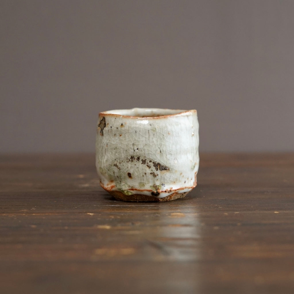 Wood Fired YUNOMI Tea Cup #FQ755D
