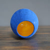 Blue / Yellow Dino Vase #JT376B